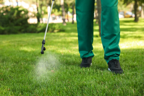 Wildlife Control Services in Elk Mound, WI